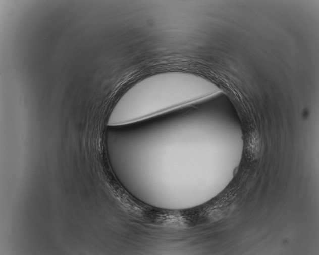 X0000096140715200801180852
