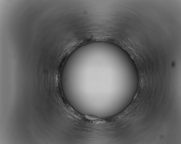 X0000096140716200801180852