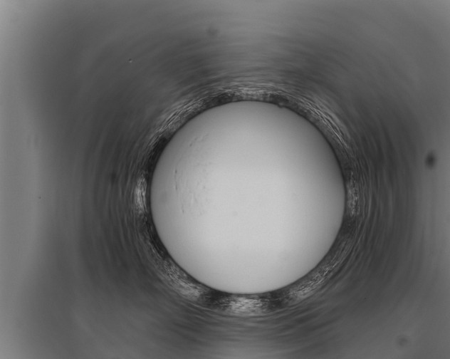 X0000096140718200801180852
