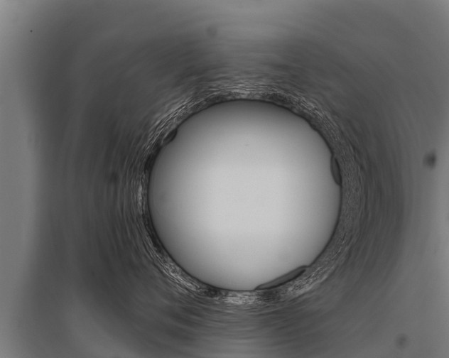 X0000096140720200801180852