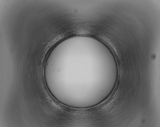 X0000096140721200801180851