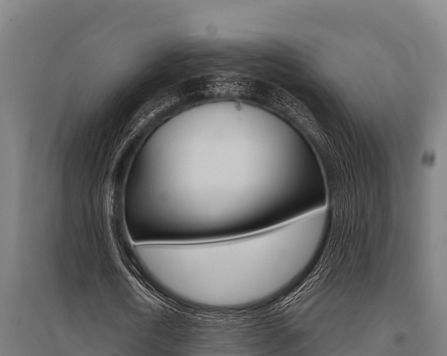 X0000096140722200801180851