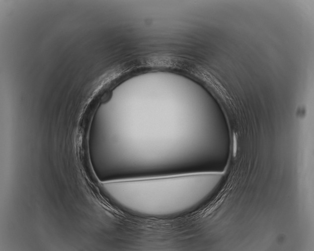 X0000096140723200801180851