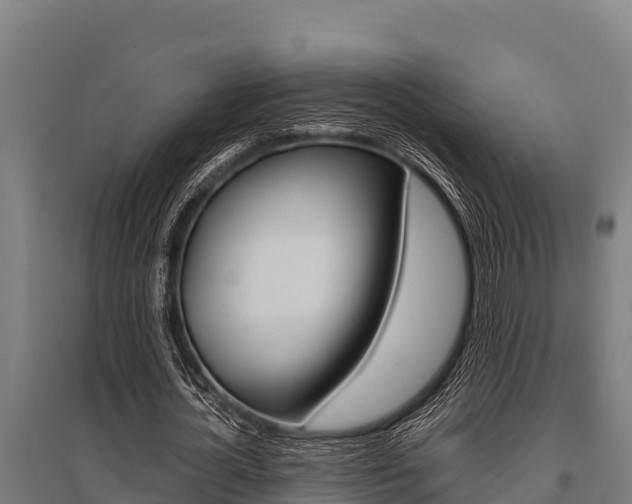 X0000096140724200801180851