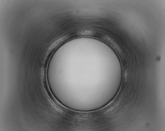 X0000096140725200801180851