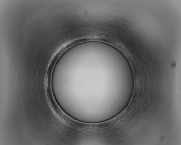 X0000096140726200801180851