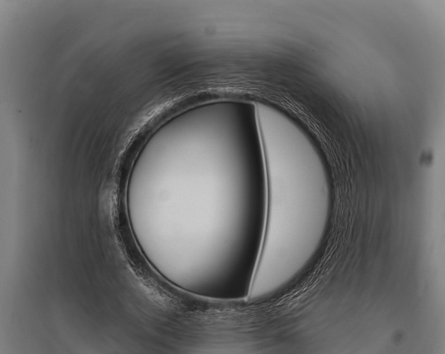 X0000096140728200801180851