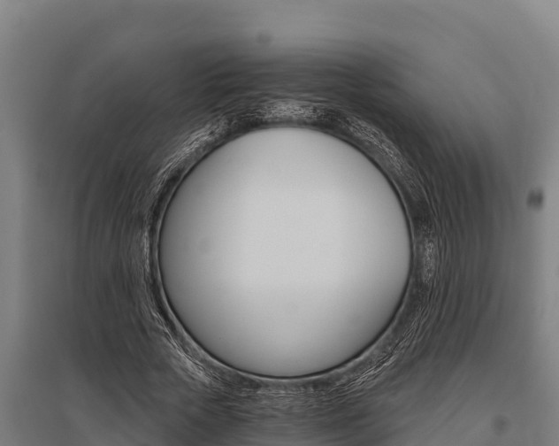 X0000096140729200801180851