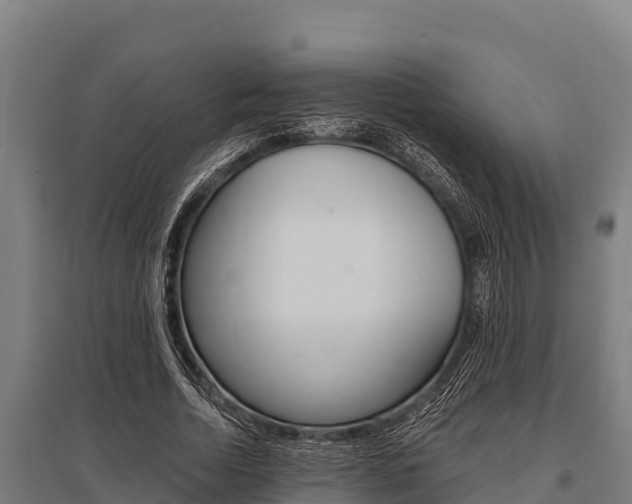 X0000096140730200801180851