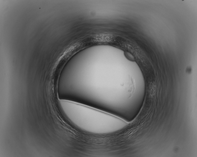 X0000096140731200801180851
