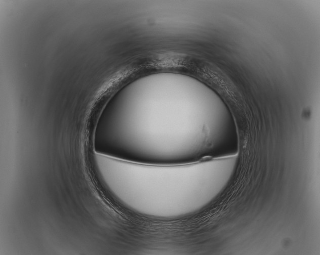 X0000096140732200801180851