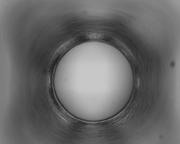 X0000096140733200801180851