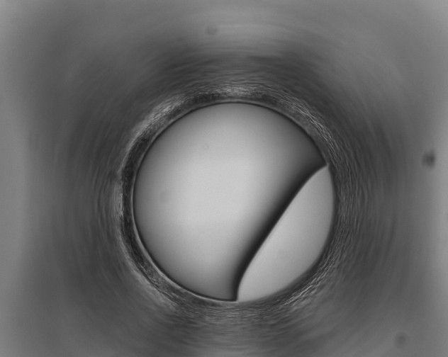 X0000096140734200801180851