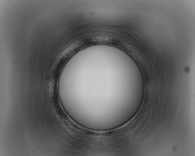 X0000096140735200801180851