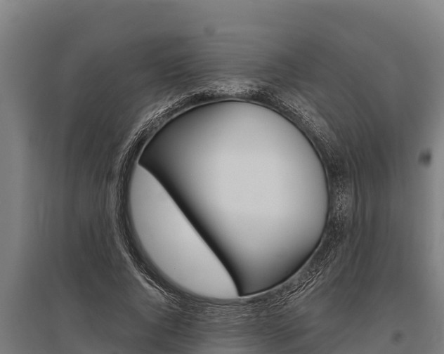 X0000096140736200801180851