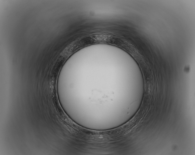 X0000096140737200801180851