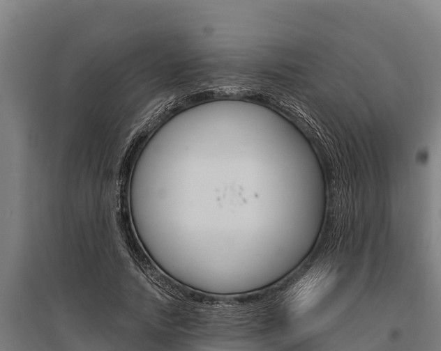 X0000096140738200801180851