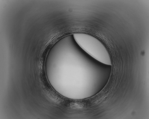 X0000096140739200801180851