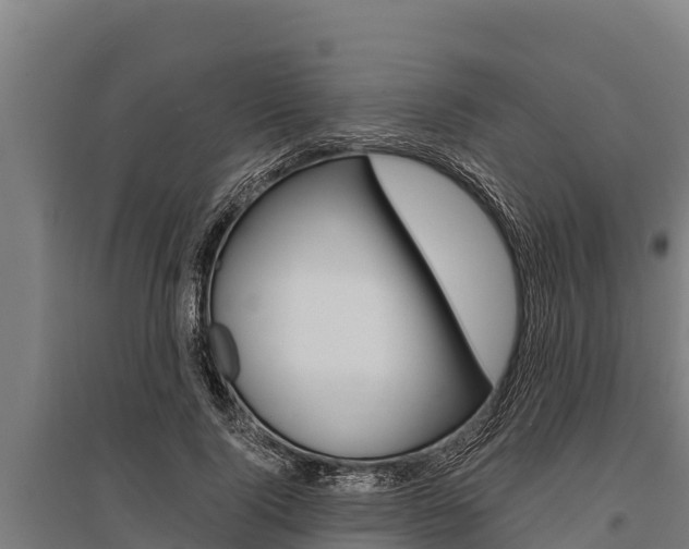 X0000096140740200801180851