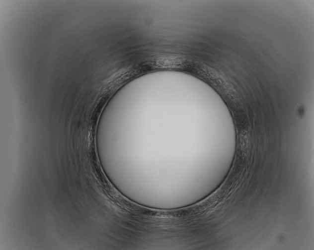 X0000096140741200801180851