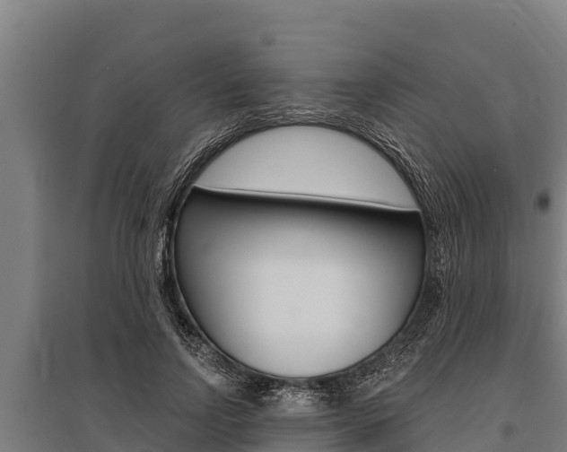 X0000096140742200801180851