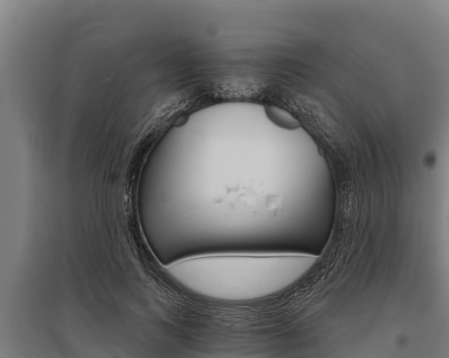 X0000096140743200801180851