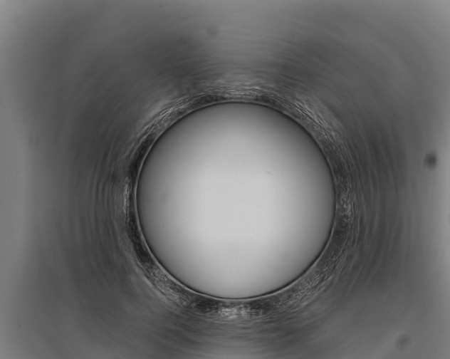 X0000096140744200801180851