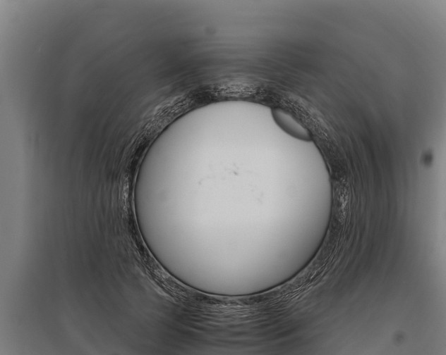 X0000096140745200801180851