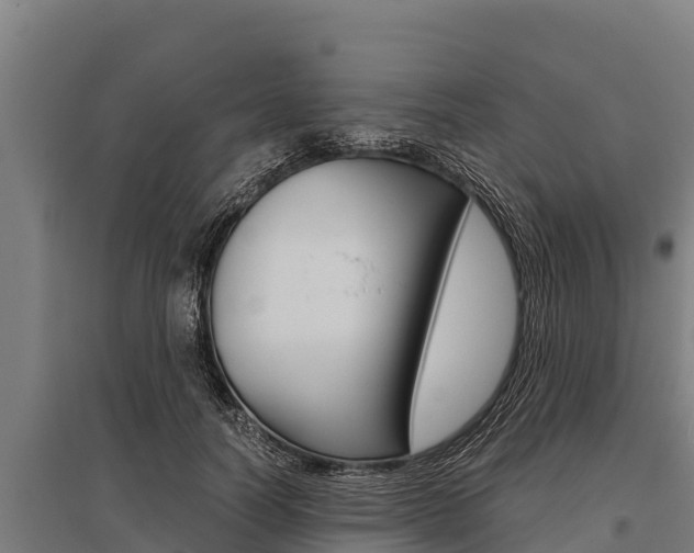 X0000096140746200801180851