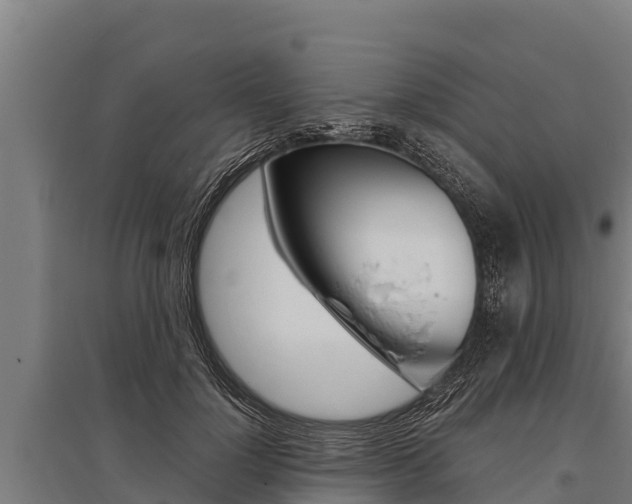 X0000096140748200801180851