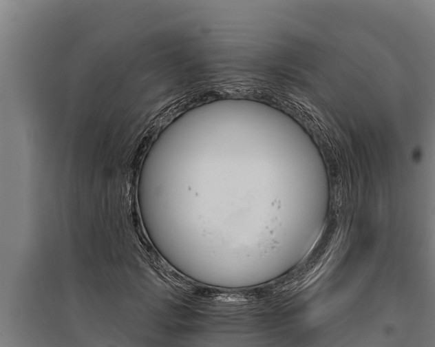 X0000096140749200801180851