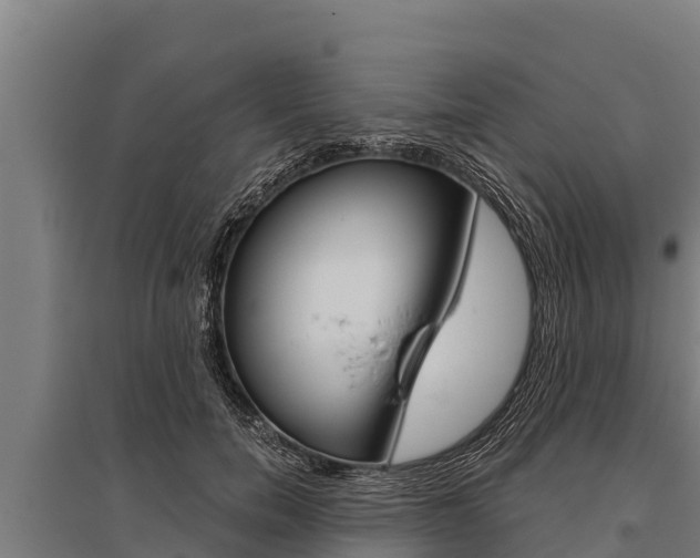 X0000096140750200801180851