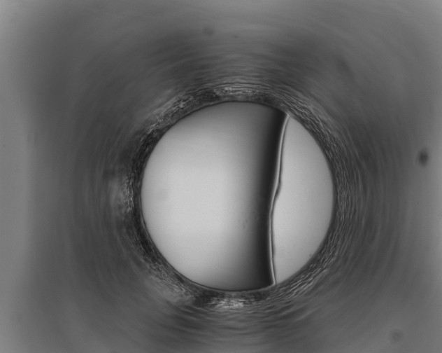 X0000096140751200801180851