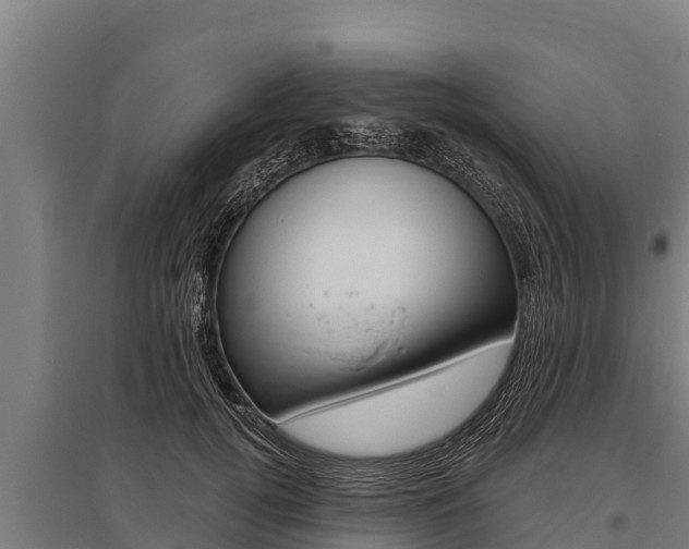 X0000096140752200801180851