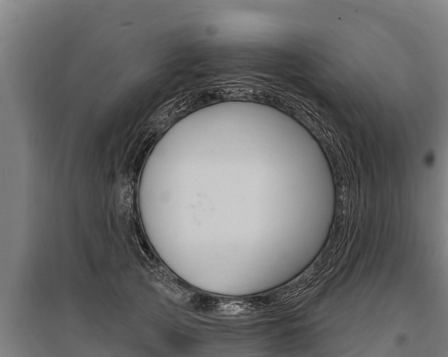 X0000096140753200801180851