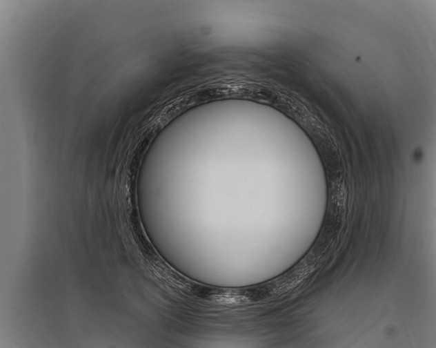 X0000096140754200801180851