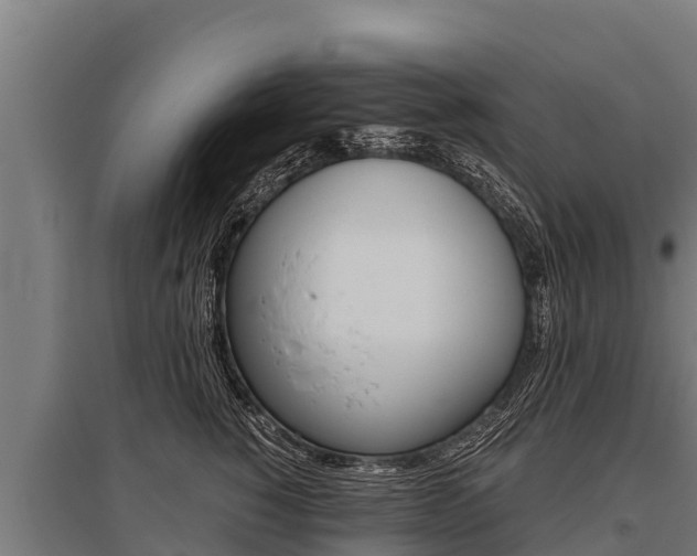 X0000096140760200801180851