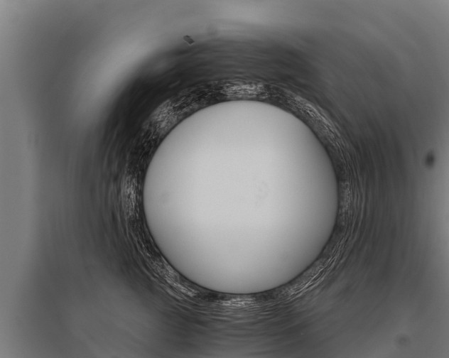 X0000096140761200801180852