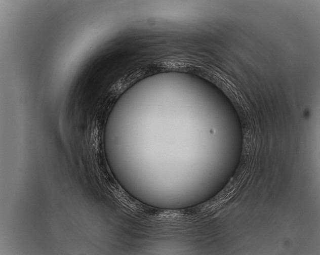 X0000096140762200801180852