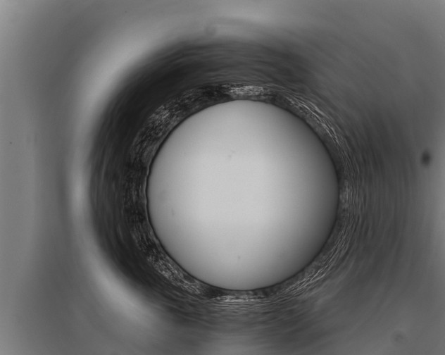 X0000096140763200801180852