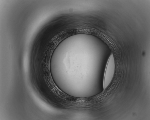 X0000096140764200801180852