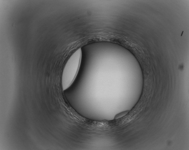 X0000096140768200801180852