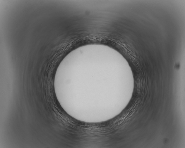 X0000096140769200801180851