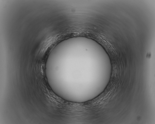 X0000096140770200801180851
