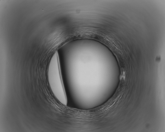 X0000096140771200801180851