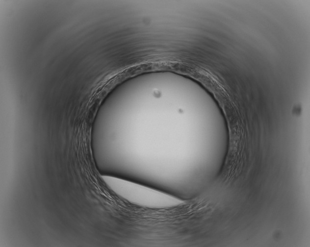 X0000096140773200801180851