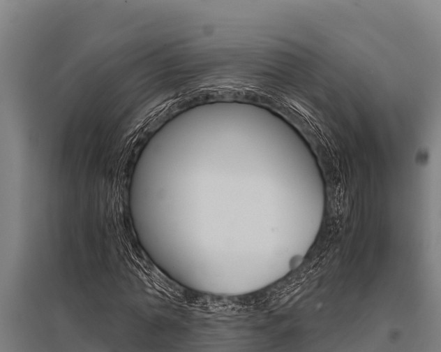 X0000096140774200801180851