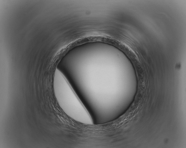 X0000096140775200801180851