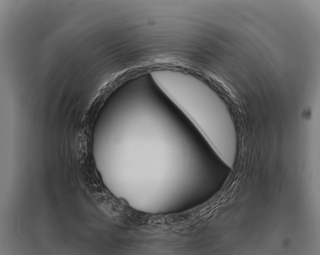 X0000096140776200801180851