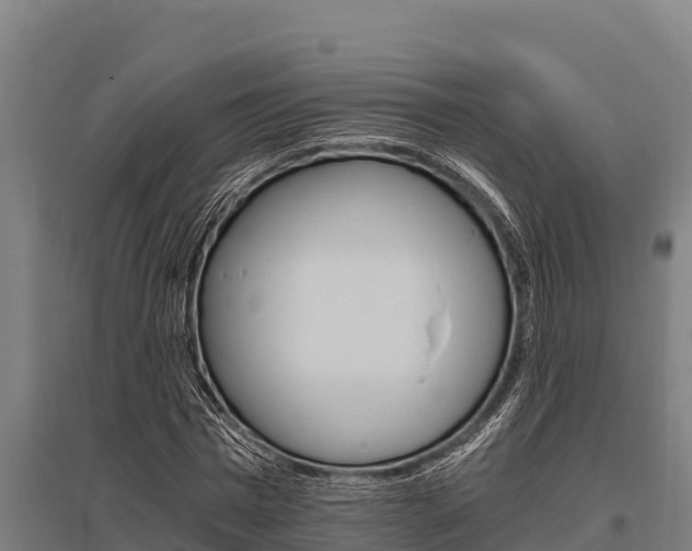X0000096140777200801180851